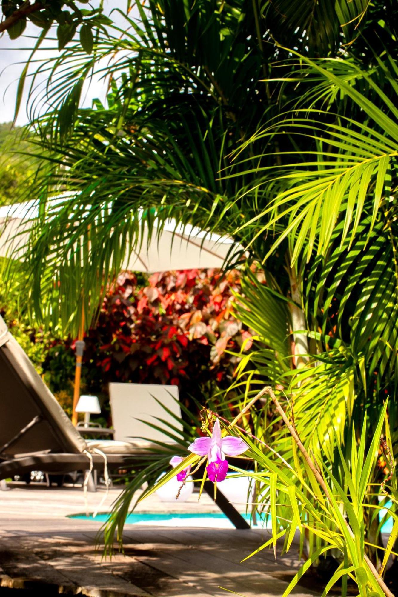 La Villa Baie Du Marin Le Marin Екстериор снимка